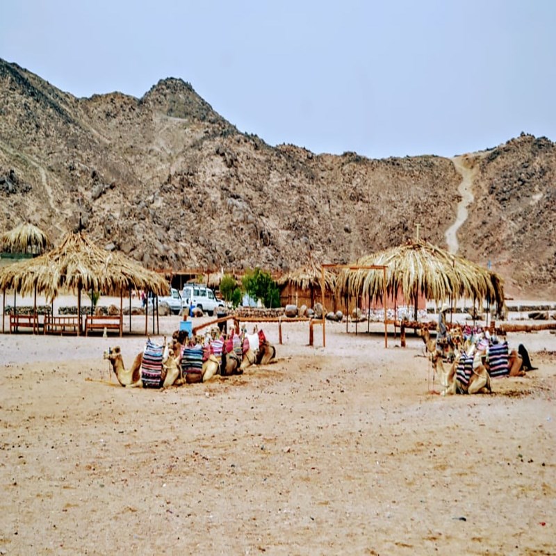 Desert Safari Adventure – Discover the Magic of the Egyptian Desert gallery 9