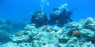 Diving & Island Adventure – The Ultimate Red Sea Experience image 7