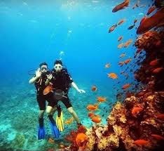 Diving & Island Adventure – The Ultimate Red Sea Experience image 8