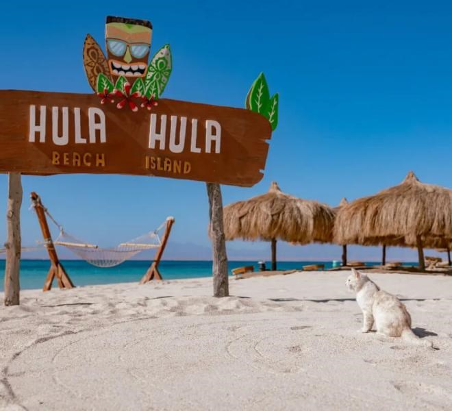 Hula Hula Island Adventure – Luxury Escape in the Red Sea image 3