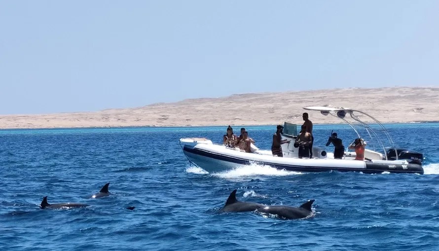 Private Speed Boat Dolphin House Adventure – Luxury Red Sea Escape image 7