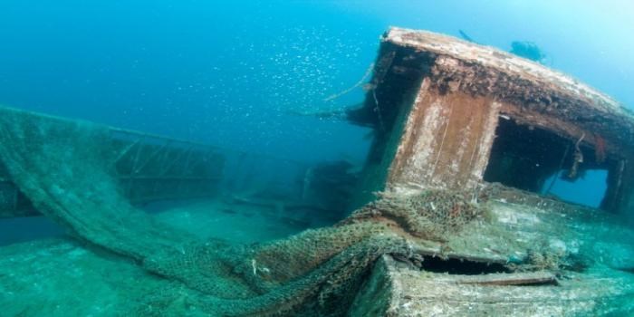Red Sea Diving Adventure – Explore the Underwater Paradise image 2